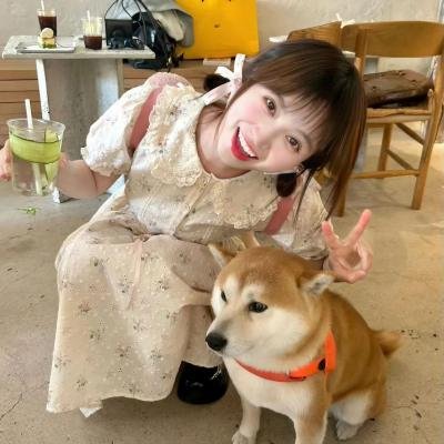 检察官内传